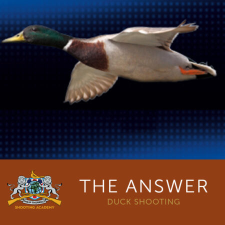 The Answer Duck Shooting