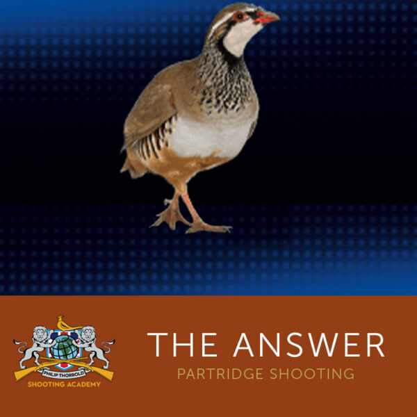 The Answer Partridge Shooting