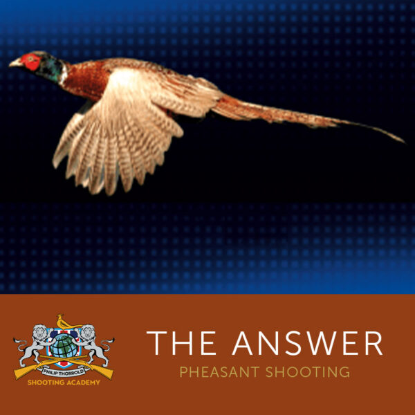 The Answer Pheasant Shooting